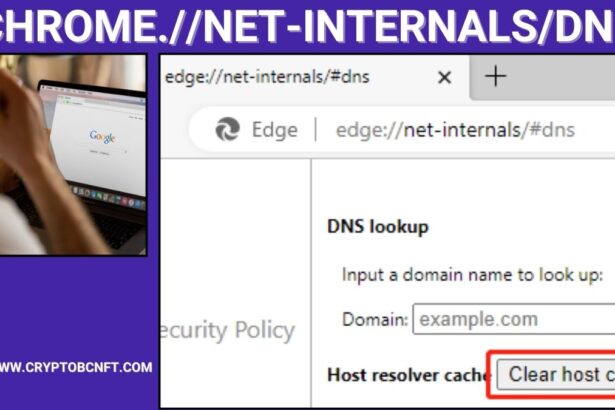 chrome.//net-internals/dns